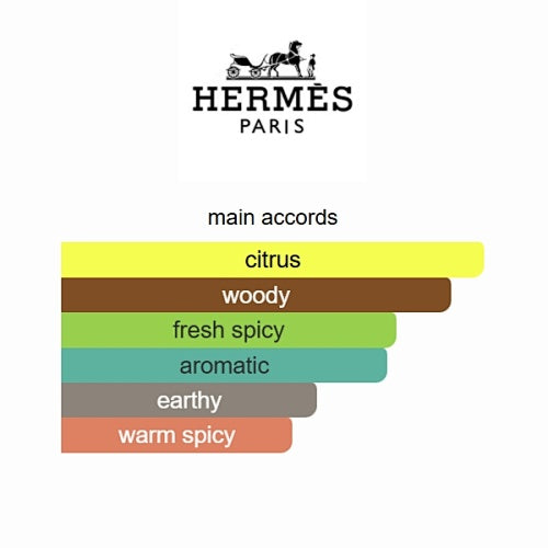 Hermès Terre d'Hermès Eau de Toilette 100ml