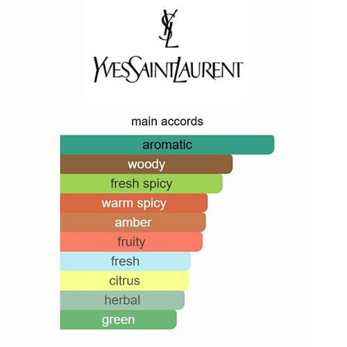 Yves Saint Laurent Y Eau de Parfum 100ml